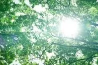 夏のホームケア|神戸のエステサロンならエステティック&ヒーリングサロン リノ