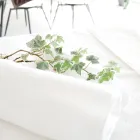 アンチエイジング